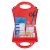 Small Burns Kit Open