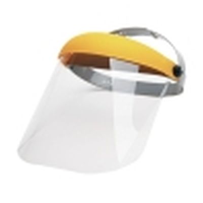 GIANT Face Shield Visor