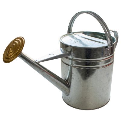 Galvanised Watering Can