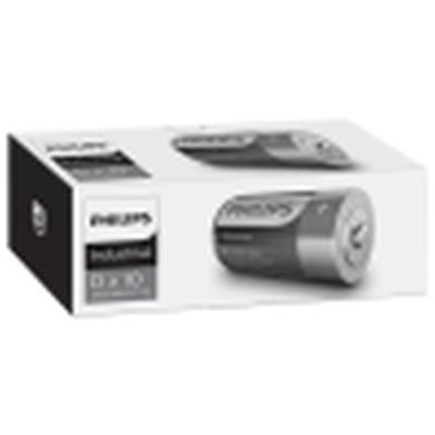 Industrial D Battery