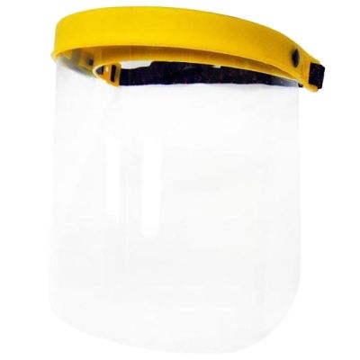 GIANT Face Shield Visor