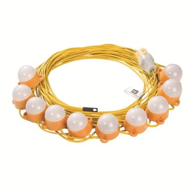 22m Led Encapsulated Festoon String Lights 50W