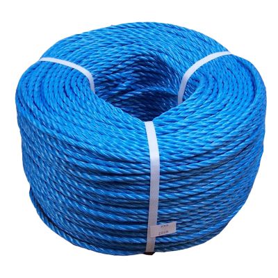 Blue Polypropylene Rope 6mm x 220mm