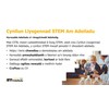 Introduction to Ambassadors for Individuals PowerPoint Presentation