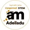 Ambassador Replacement Pin Badge