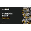 "I am a Proud Ambassador" Logos and Brand Guidelines
