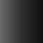Grey - Polarised Lens