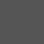 Grey Polarised Lens