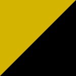 Yellow/Black