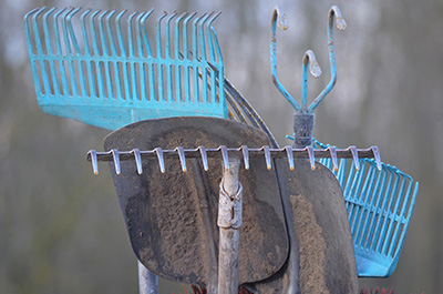 Shovels & Forks
