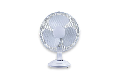 Fans