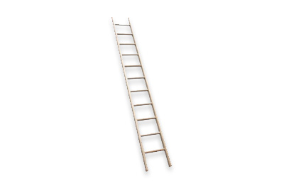 Pole Ladders