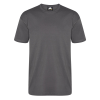 Orn Plover Premium Short Sleeve T-Shirt - Graphite Grey / 4XL