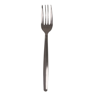 Stainless Steel Fork