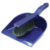 Dustpan & Brush Set 