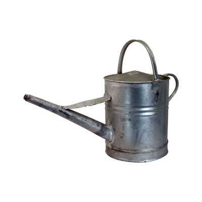 Can 2 gal Galvanised Watering (No Rose)