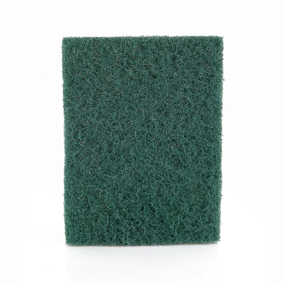 Scouring Pad