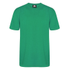 Orn Plover Premium Short Sleeve T-Shirt - Kelly Green / XS