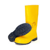 Dielectric Safety Boots - Class 2 (Max 17000V)