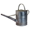 Can 2 gal Galvanised Watering (No Rose)