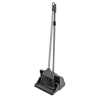 Dustpan & Brush Set with Long Handle