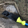 Capture Green Budget Sediment Filter GRR010601BFIL