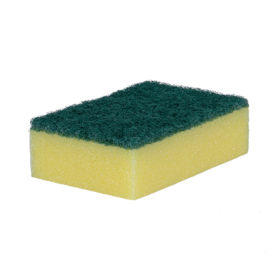 Scouring Sponge